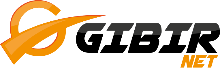 GIBIRNet joined BIX.BG at 100G logo