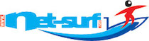 NetSurf upgraded at 10GE port logo