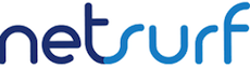 NetSurf (AS 20911) upgraded at 2*10G logo